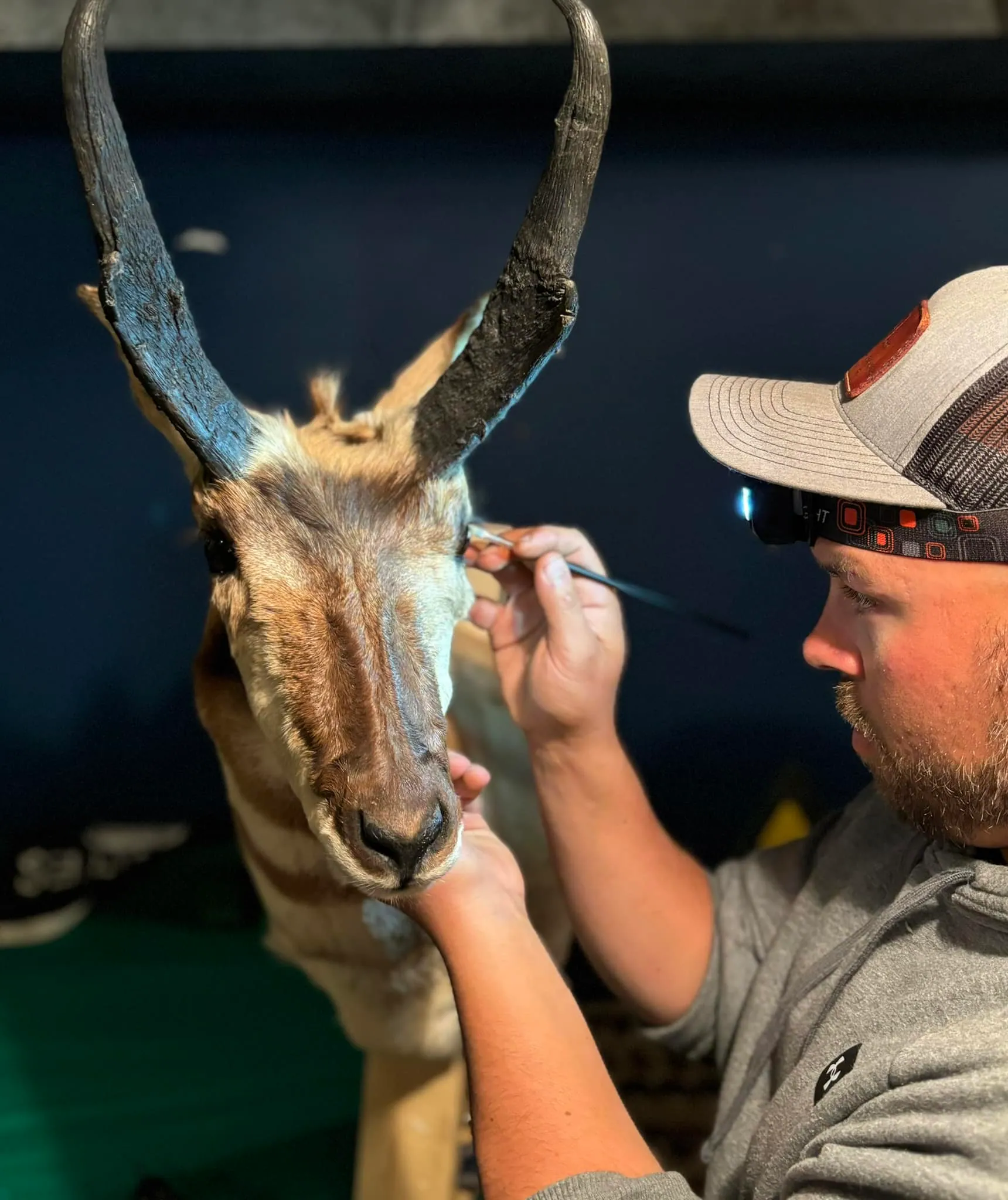 Restoration Services