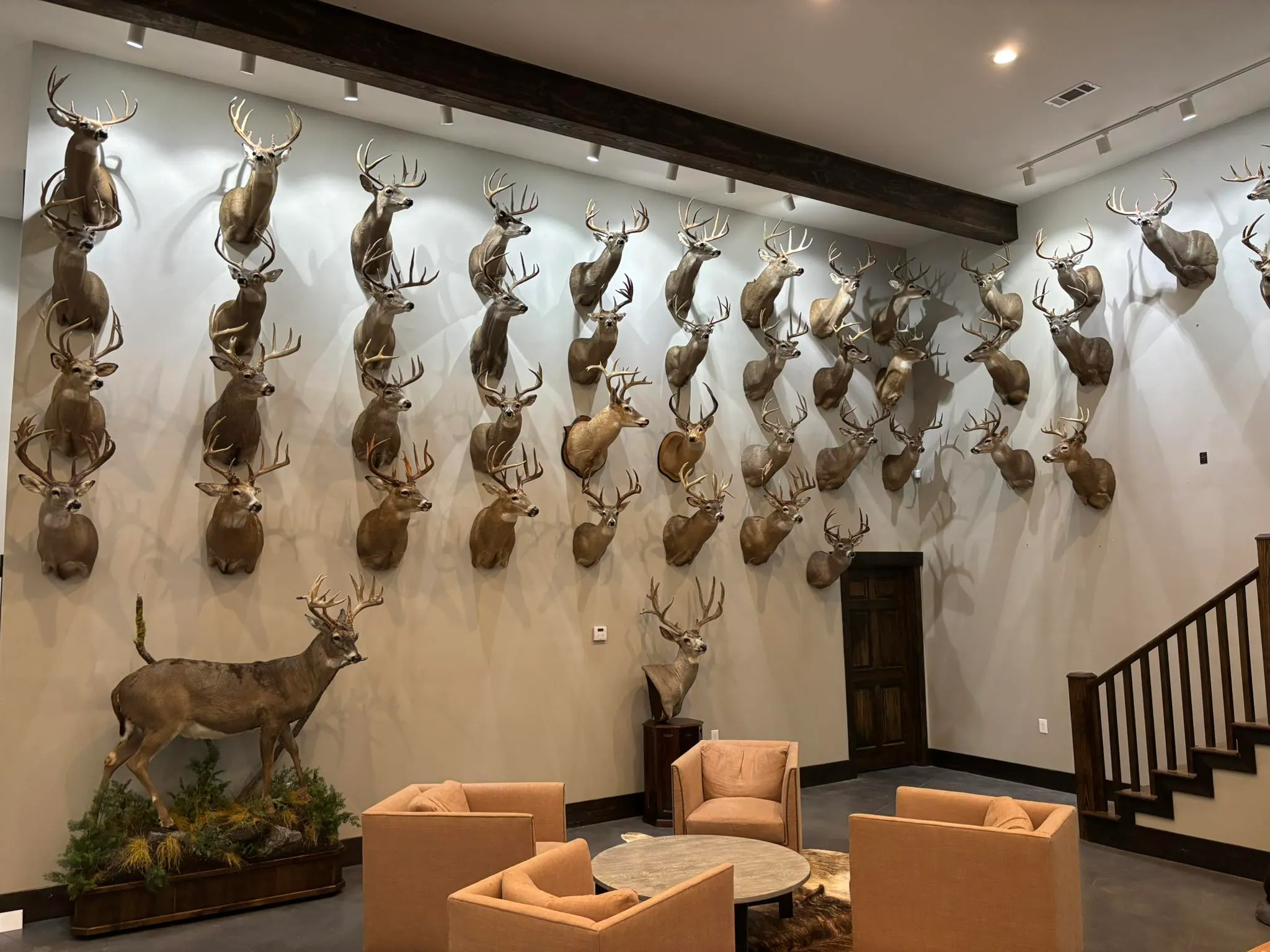 Seasonal Mount Care Plan